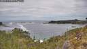 ./images/calvert/foggy-cove/20260513/foggy-cove20260513_125501M.jpg