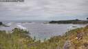 ./images/calvert/foggy-cove/20260513/foggy-cove20260513_130501M.jpg