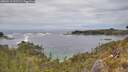 ./images/calvert/foggy-cove/20260513/foggy-cove20260513_131501M.jpg