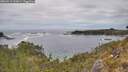 ./images/calvert/foggy-cove/20260513/foggy-cove20260513_132001M.jpg