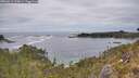 ./images/calvert/foggy-cove/20260513/foggy-cove20260513_133001M.jpg