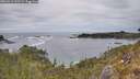 ./images/calvert/foggy-cove/20260513/foggy-cove20260513_133501M.jpg