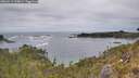 ./images/calvert/foggy-cove/20260513/foggy-cove20260513_134001M.jpg
