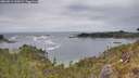 ./images/calvert/foggy-cove/20260513/foggy-cove20260513_135001M.jpg