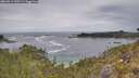 ./images/calvert/foggy-cove/20260513/foggy-cove20260513_135501M.jpg