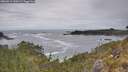 ./images/calvert/foggy-cove/20260513/foggy-cove20260513_140501M.jpg