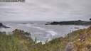 ./images/calvert/foggy-cove/20260513/foggy-cove20260513_141501M.jpg