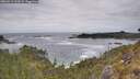 ./images/calvert/foggy-cove/20260513/foggy-cove20260513_143501M.jpg