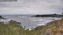 ./images/calvert/foggy-cove/20260513/foggy-cove20260513_144501M.jpg