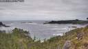 ./images/calvert/foggy-cove/20260513/foggy-cove20260513_145001M.jpg
