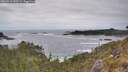 ./images/calvert/foggy-cove/20260513/foggy-cove20260513_145501M.jpg