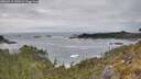 ./images/calvert/foggy-cove/20260513/foggy-cove20260513_155001M.jpg