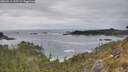 ./images/calvert/foggy-cove/20260513/foggy-cove20260513_155501M.jpg