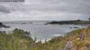 ./images/calvert/foggy-cove/20260513/foggy-cove20260513_163002M.jpg