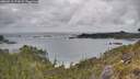 ./images/calvert/foggy-cove/20260513/foggy-cove20260513_173501M.jpg