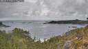 ./images/calvert/foggy-cove/20260513/foggy-cove20260513_175001M.jpg