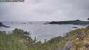./images/calvert/foggy-cove/20260513/foggy-cove20260513_195001M.jpg