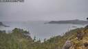 ./images/calvert/foggy-cove/20260513/foggy-cove20260513_201001M.jpg