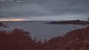 ./images/calvert/foggy-cove/20260513/foggy-cove20260513_214501M.jpg