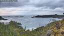 ./images/calvert/foggy-cove/20260514/foggy-cove20260514_062001M.jpg