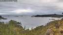 ./images/calvert/foggy-cove/20260514/foggy-cove20260514_073501M.jpg
