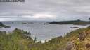 ./images/calvert/foggy-cove/20260514/foggy-cove20260514_074002M.jpg