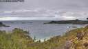 ./images/calvert/foggy-cove/20260514/foggy-cove20260514_075502M.jpg