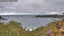 ./images/calvert/foggy-cove/20260514/foggy-cove20260514_080001M.jpg