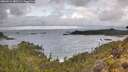 ./images/calvert/foggy-cove/20260514/foggy-cove20260514_082501M.jpg