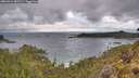 ./images/calvert/foggy-cove/20260514/foggy-cove20260514_083501M.jpg