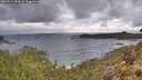 ./images/calvert/foggy-cove/20260514/foggy-cove20260514_084501M.jpg