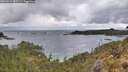 ./images/calvert/foggy-cove/20260514/foggy-cove20260514_085501M.jpg