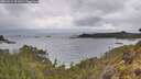 ./images/calvert/foggy-cove/20260514/foggy-cove20260514_091001M.jpg