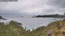 ./images/calvert/foggy-cove/20260514/foggy-cove20260514_091501M.jpg