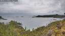 ./images/calvert/foggy-cove/20260514/foggy-cove20260514_092001M.jpg