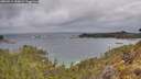 ./images/calvert/foggy-cove/20260514/foggy-cove20260514_100001M.jpg