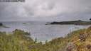 ./images/calvert/foggy-cove/20260514/foggy-cove20260514_100501M.jpg