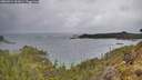 ./images/calvert/foggy-cove/20260514/foggy-cove20260514_101001M.jpg