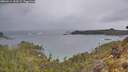 ./images/calvert/foggy-cove/20260514/foggy-cove20260514_102501M.jpg