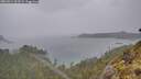 ./images/calvert/foggy-cove/20260514/foggy-cove20260514_103501M.jpg