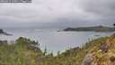./images/calvert/foggy-cove/20260514/foggy-cove20260514_105001M.jpg