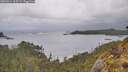 ./images/calvert/foggy-cove/20260514/foggy-cove20260514_105501M.jpg