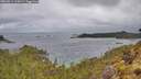 ./images/calvert/foggy-cove/20260514/foggy-cove20260514_110001M.jpg