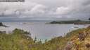 ./images/calvert/foggy-cove/20260514/foggy-cove20260514_111001M.jpg
