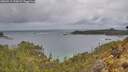 ./images/calvert/foggy-cove/20260514/foggy-cove20260514_112002M.jpg