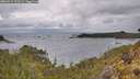 ./images/calvert/foggy-cove/20260514/foggy-cove20260514_113501M.jpg
