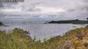 ./images/calvert/foggy-cove/20260514/foggy-cove20260514_114001M.jpg