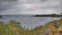 ./images/calvert/foggy-cove/20260514/foggy-cove20260514_121001M.jpg