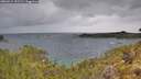 ./images/calvert/foggy-cove/20260514/foggy-cove20260514_121501M.jpg