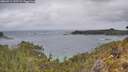 ./images/calvert/foggy-cove/20260514/foggy-cove20260514_122501M.jpg